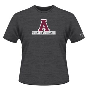 Ashland Area Custom Grey T-Shirt