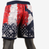 MyHOUSE USA Wrestling Pride Fight Shorts - Image 21