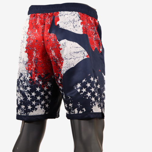 MyHOUSE USA Wrestling Pride Fight Shorts - Image 16