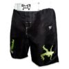 New Jersey Embroidered Fight Shorts - Image 3