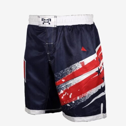 Stars and Stripes Men's Fight Shorts