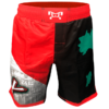 Men's Italy Country Fight Shorts - Image 2
