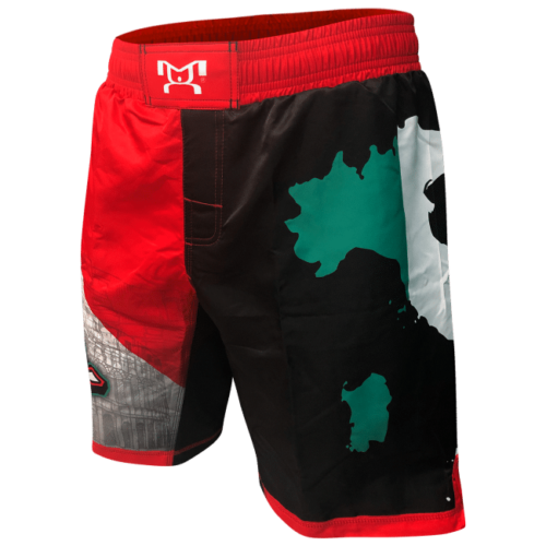 Men's Italy Country Fight Shorts - Image 5