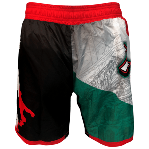 Men's Italy Country Fight Shorts - Image 3