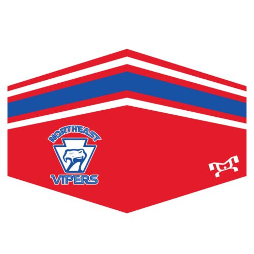 Northeast Vipers Custom Face Mask