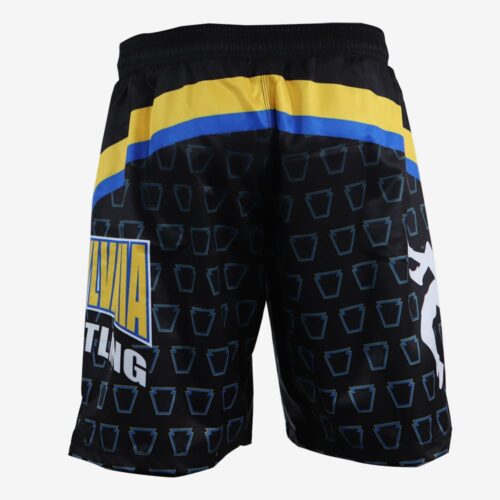 PA Black and Gold Wrestling Shorts - Image 3
