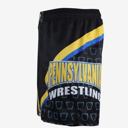PA Black and Gold Wrestling Shorts - Image 2