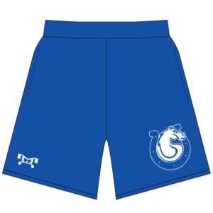 Calhoun High School Custom Royal Blue Mesh Shorts