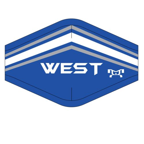 WSHS Custom Face Mask