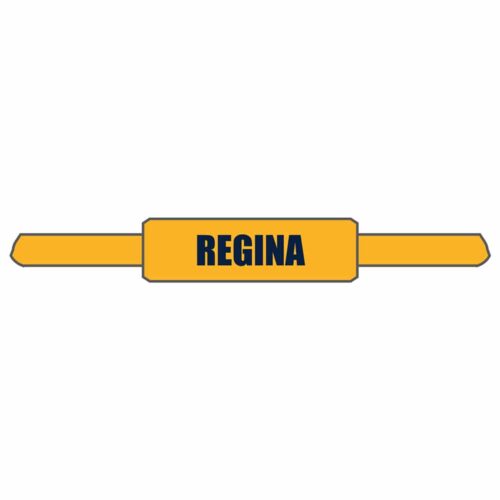 Regal Wrestling Custom Robe Belt With Panel