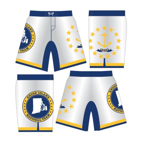 BTS Providence Custom Fight Shorts