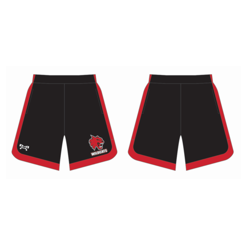 Northwestern High School Custom Curve Sided Mesh Shorts