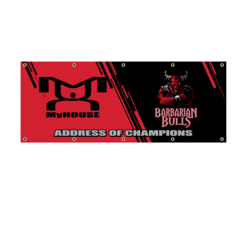 Barbarian Bulls Custom Team Banner
