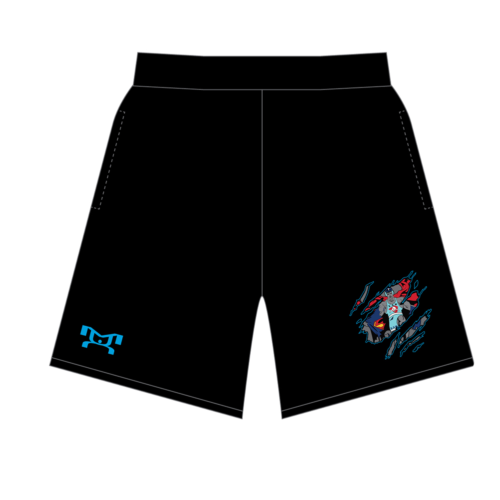 Lancaster Alliance Wrestling Custom Mesh Shorts