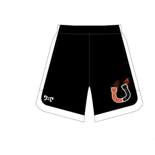Billings High School Custom Curve Sided Mesh Shorts