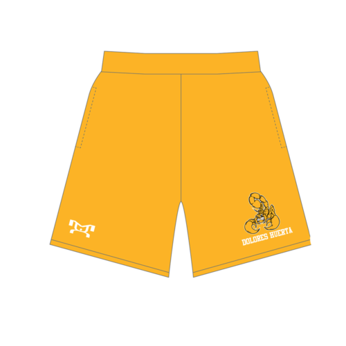 Dolores Huerta Preparatory High School Custom Gold Mesh Shorts