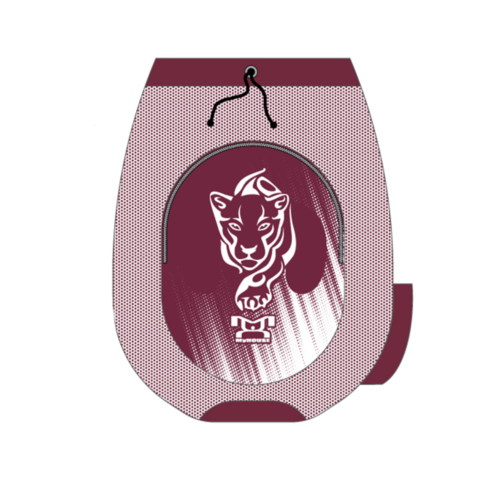 Altoona Wrestling Sublimated Gear Bag
