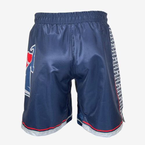 PA Liberty Wrestling Fight Shorts - Image 3