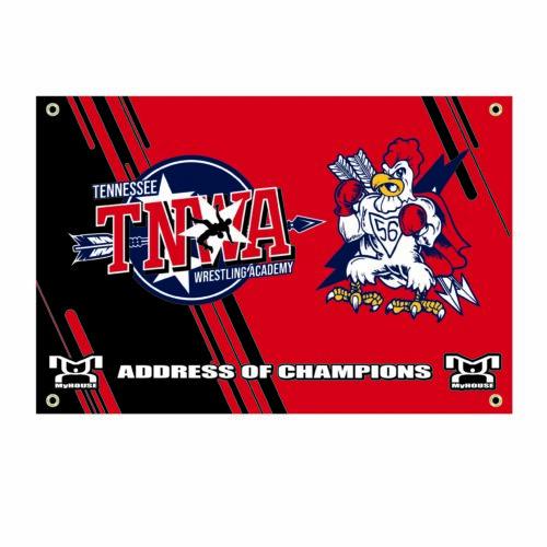 TNWA Custom Team Banner