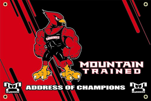 Pocono Mountain East  Custom Team Banner