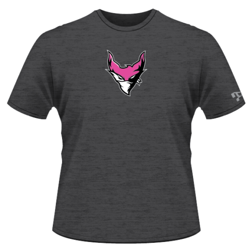 Dover Lady Bandits Custom Heat Press T Shirt