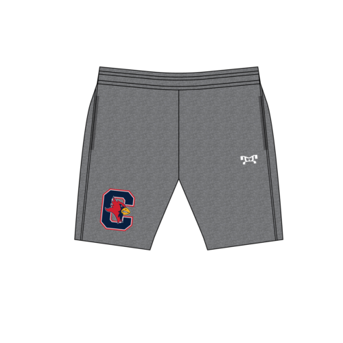 CORVIAN  Men's Heathered Workout Shorts