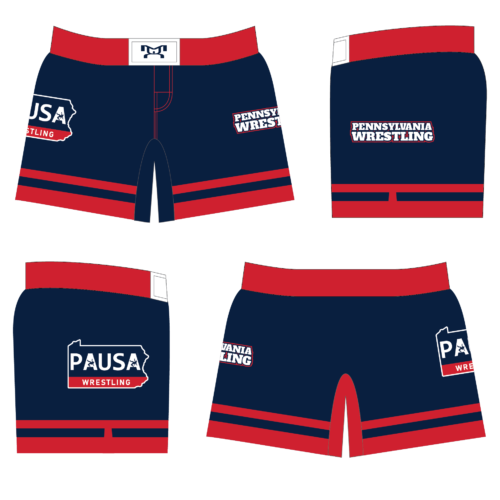 PAUSAW 2023 NAVY  WOMEN'S MICROSTRETCH SHORTS(NO SIDE PANELS)
