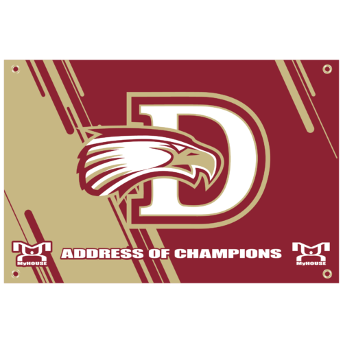 Davies Eagles Custom Team Banner