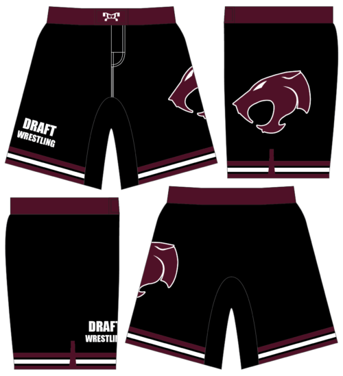 Thunder Cat Wrestling Custom Fight Shorts