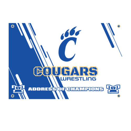 Southwestern Randolph Custom Team Banner