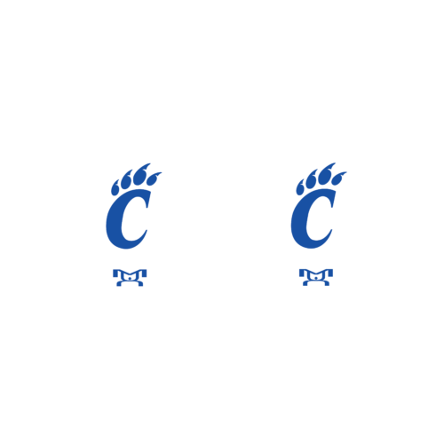 Southwestern Randolph Custom  Head Gear Decal