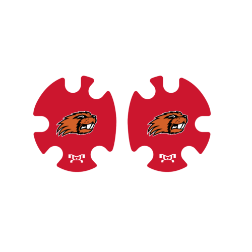 Reedsburg Wrestling Custom Head Gear DecaL