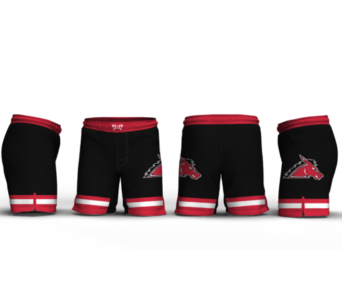Fairfield Community High School BLACK Custom Fight Shorts 2024