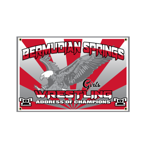 Bermudian Springs Custom Team Banner