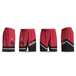 PA Lion's Den Custom Team Gear